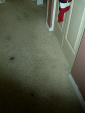 Before Picture of Carpet Cleaning