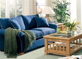 Scottsdale Upholstery Cleaning Service Picture